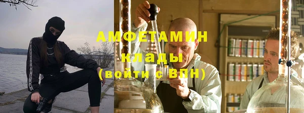 гидра Ельня