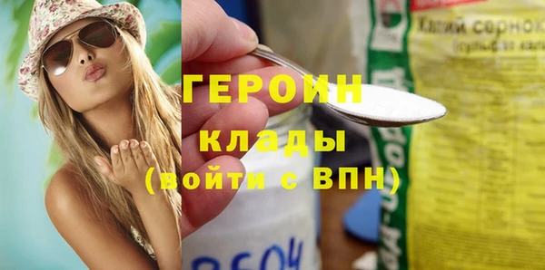 гидра Ельня