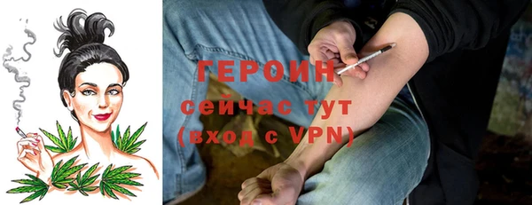 гидра Ельня