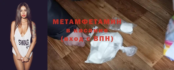гидра Ельня