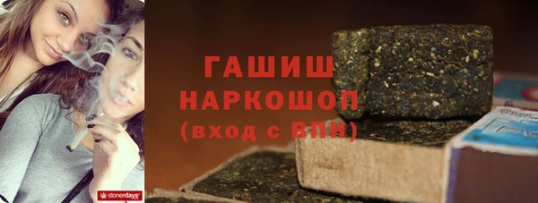 гидра Ельня