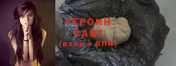 гидра Ельня
