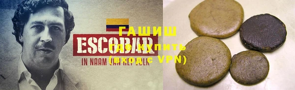 гидра Ельня