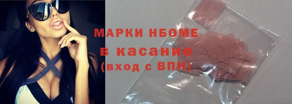 гидра Ельня