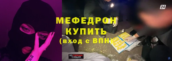 гидра Ельня