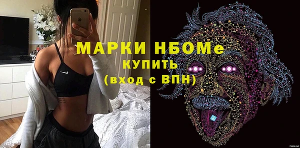 гидра Ельня