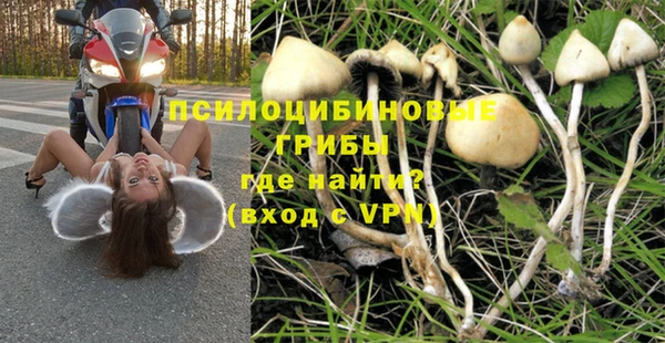 гидра Ельня