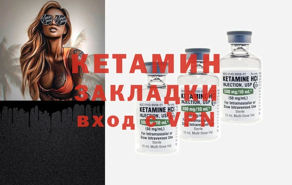 гидра Ельня