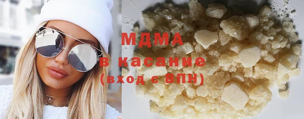 гидра Ельня
